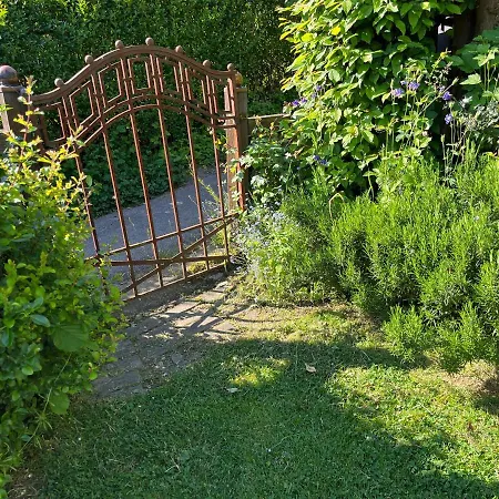 Brinker Bleibe 벨베르트