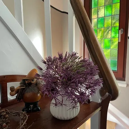 Brinker Bleibe * 벨베르트