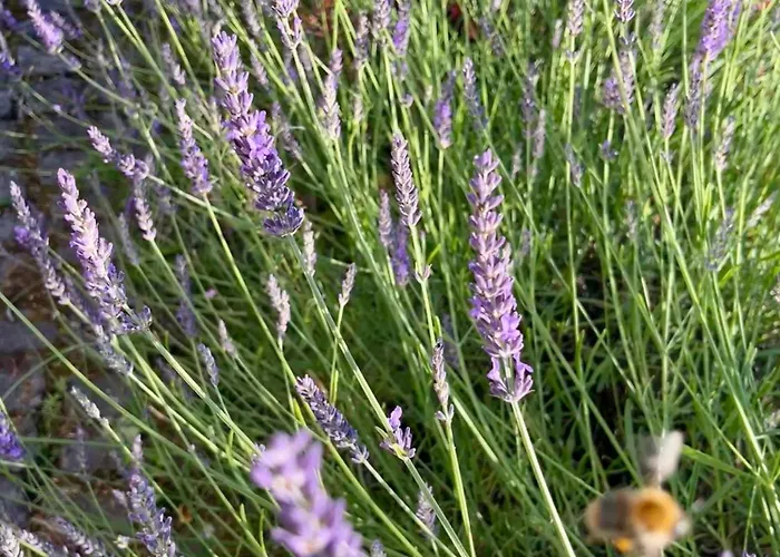 Brinker Bleibe Casa vacanze *